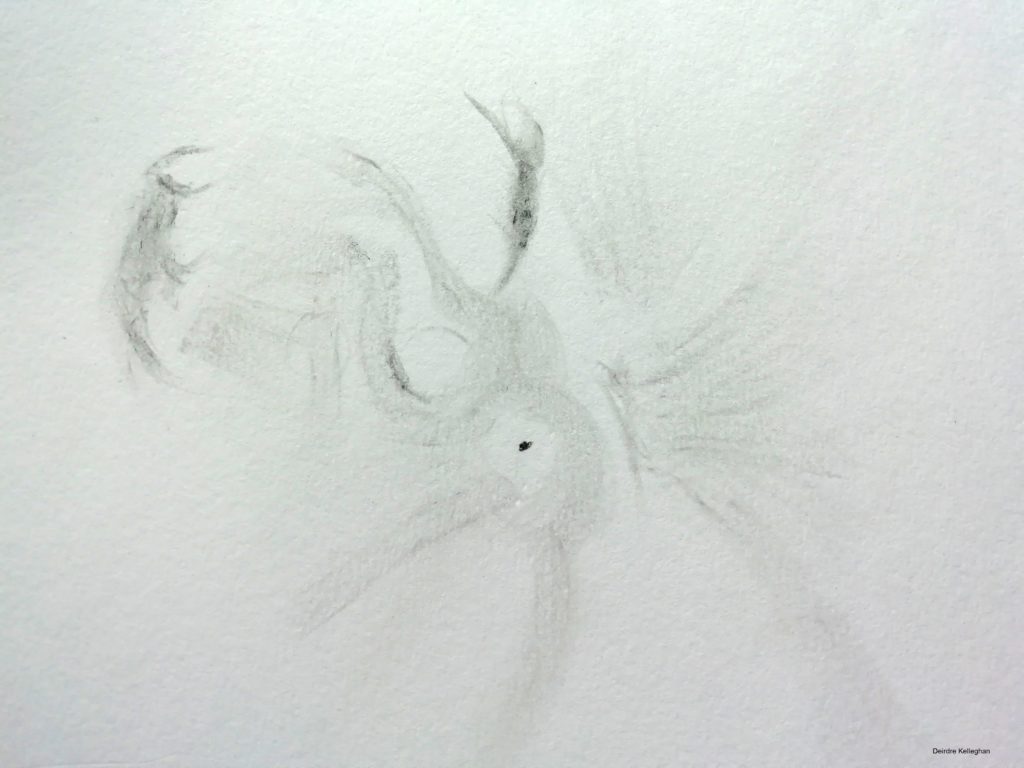 Solar Active Region 2790 - Sketch - PST 40 h-alpha / 8mm eyepiece/50X Pastel pencil, silicone tipped brush. 07/12/2020 11:30 UT - 1:30 UT Killadoon Co Mayo Ireland