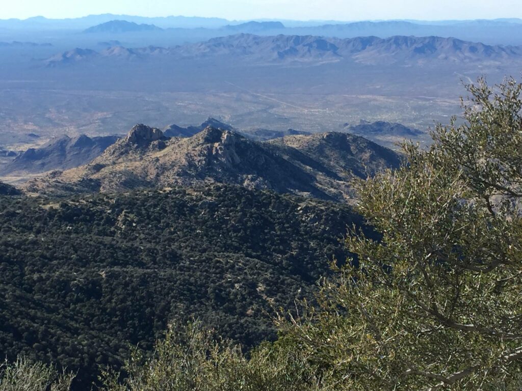 The view from atop Kitt Peak.