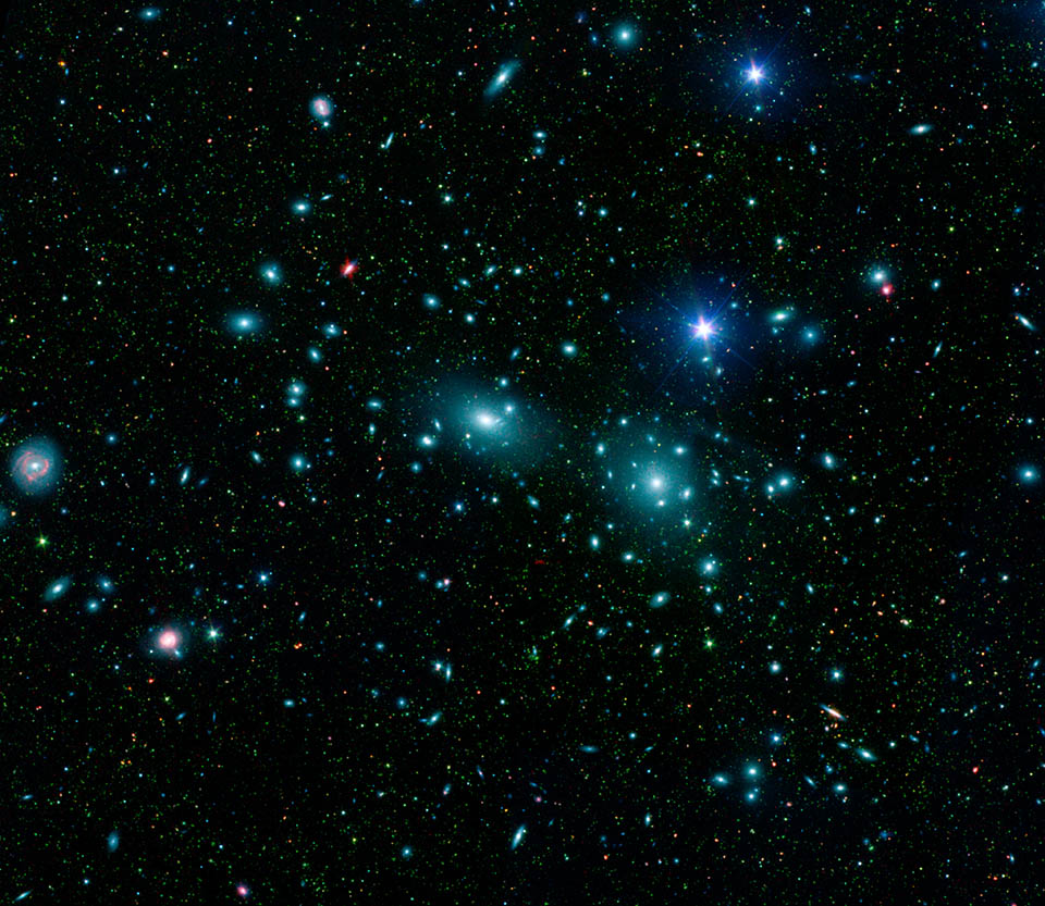 Coma cluster