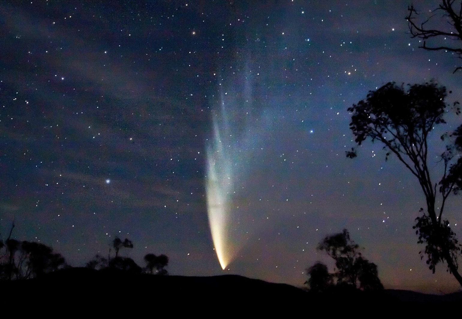 Comet McNaught