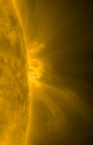 Coronal loops