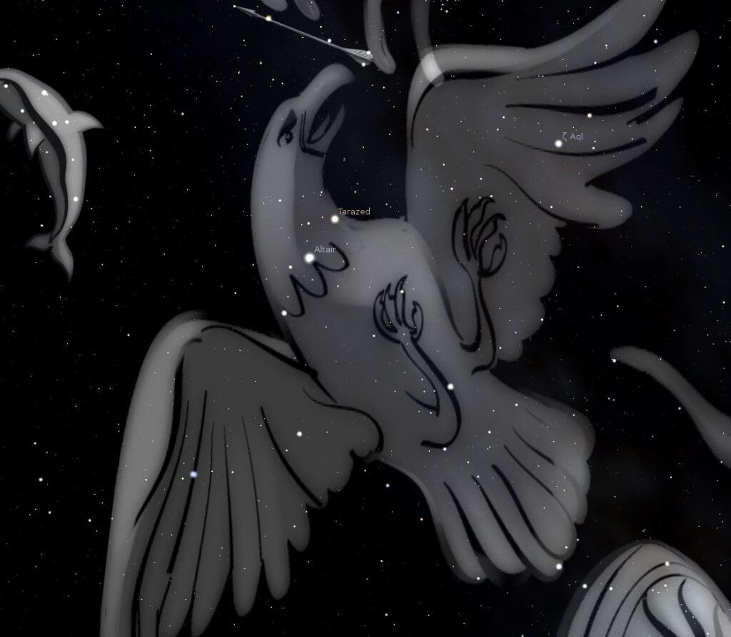 The constellation Aquila the eagle, per the Stellarium planetarium app.
