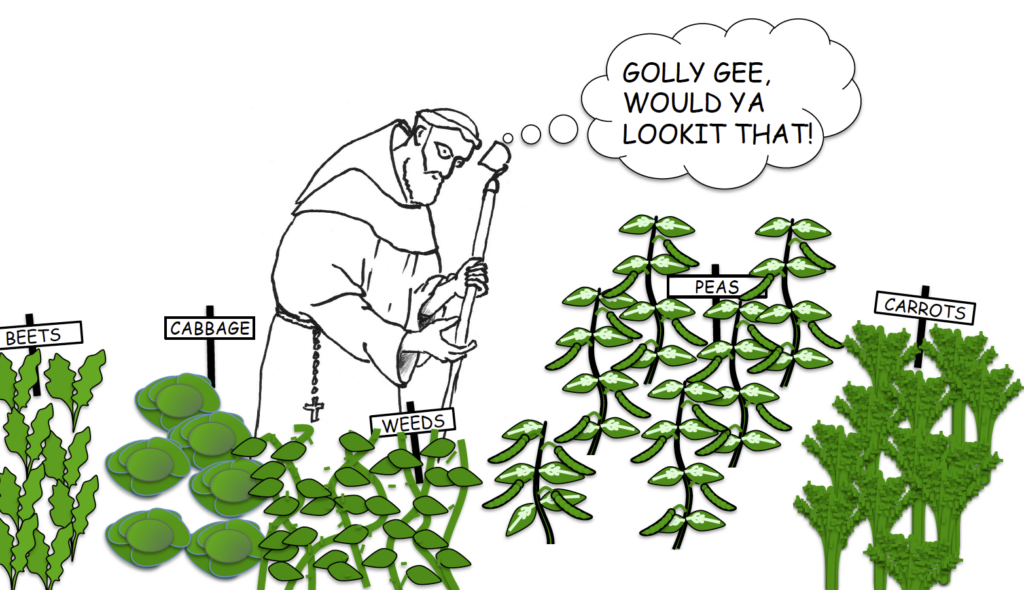 Illustration of Mendel as Gardener