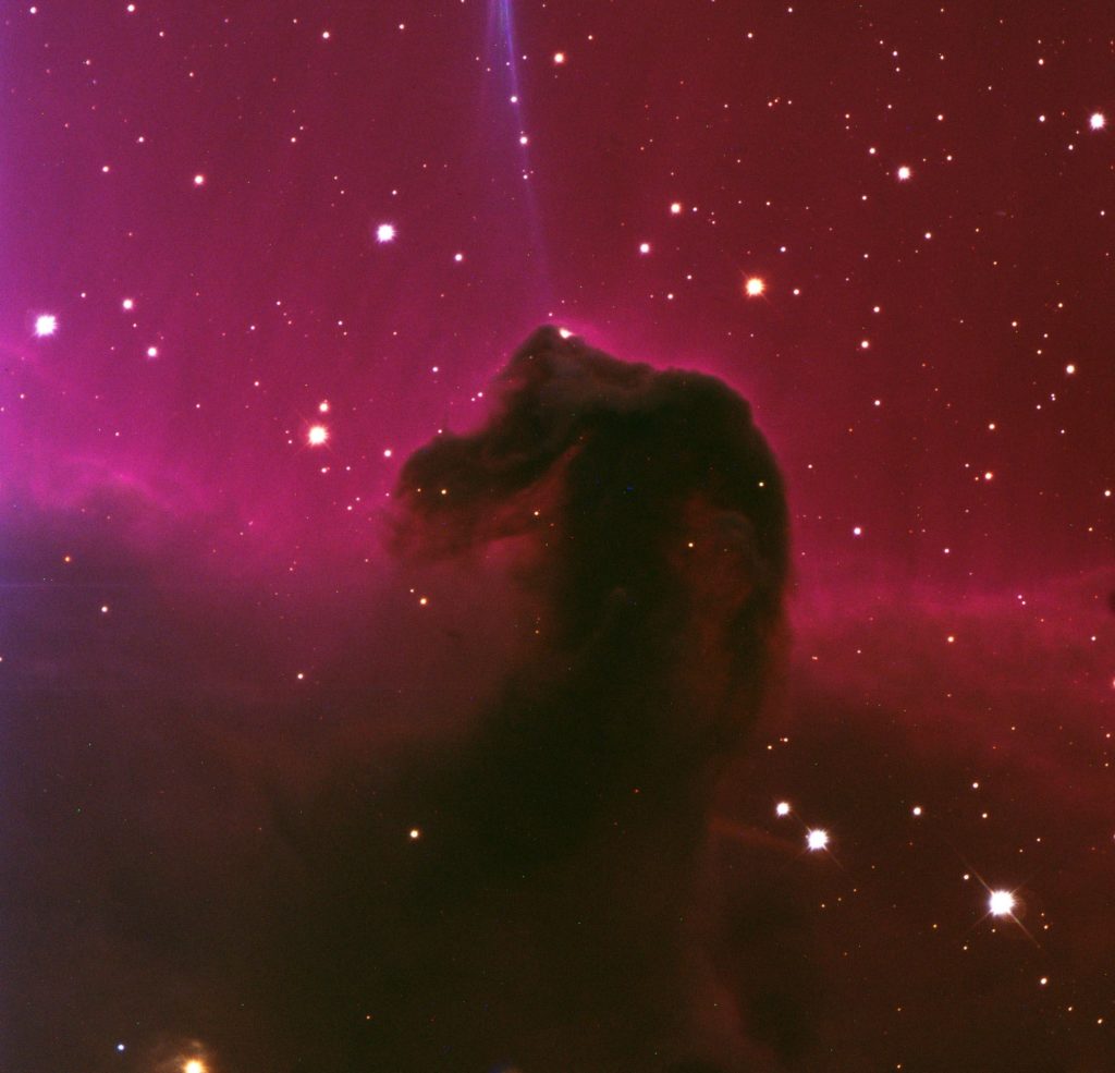 Just another gratuitous pretty astropicture, in this case, the Horsehead Nebula as imaged at the Vatican Advanced Technology Telescope.