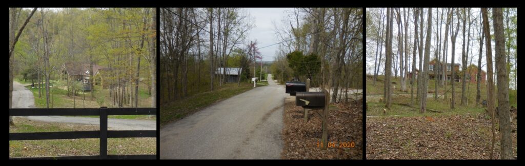  Homes and young woods on the knob