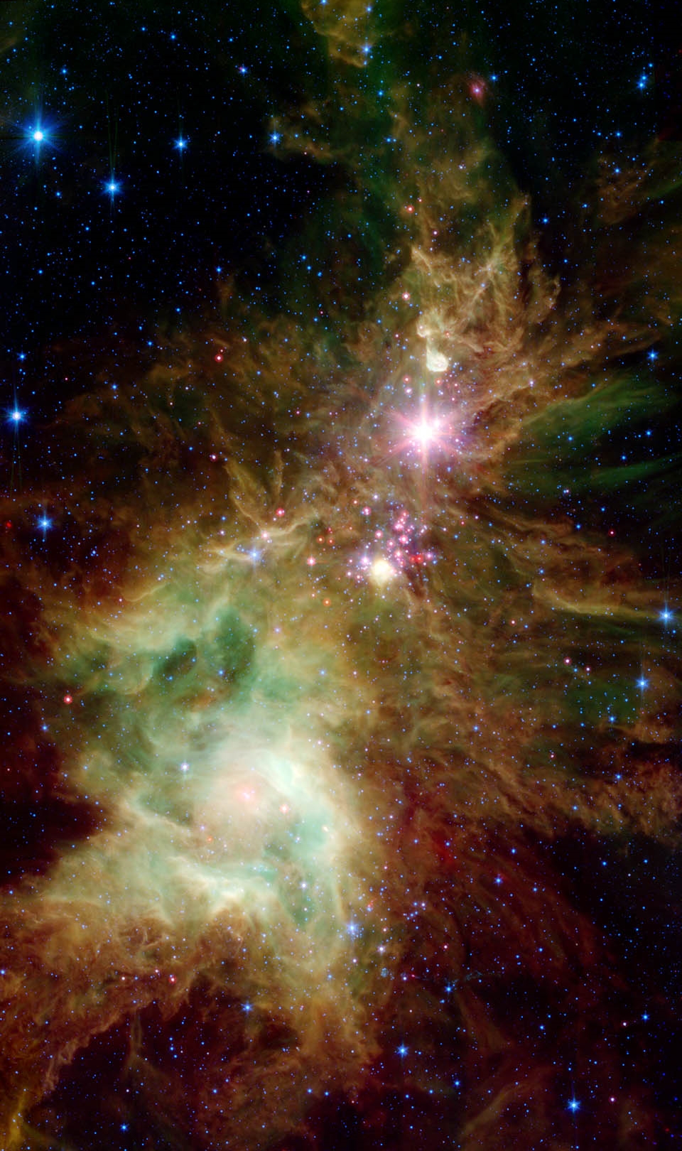 NGC 2264 - The Christmas Tree Cluster