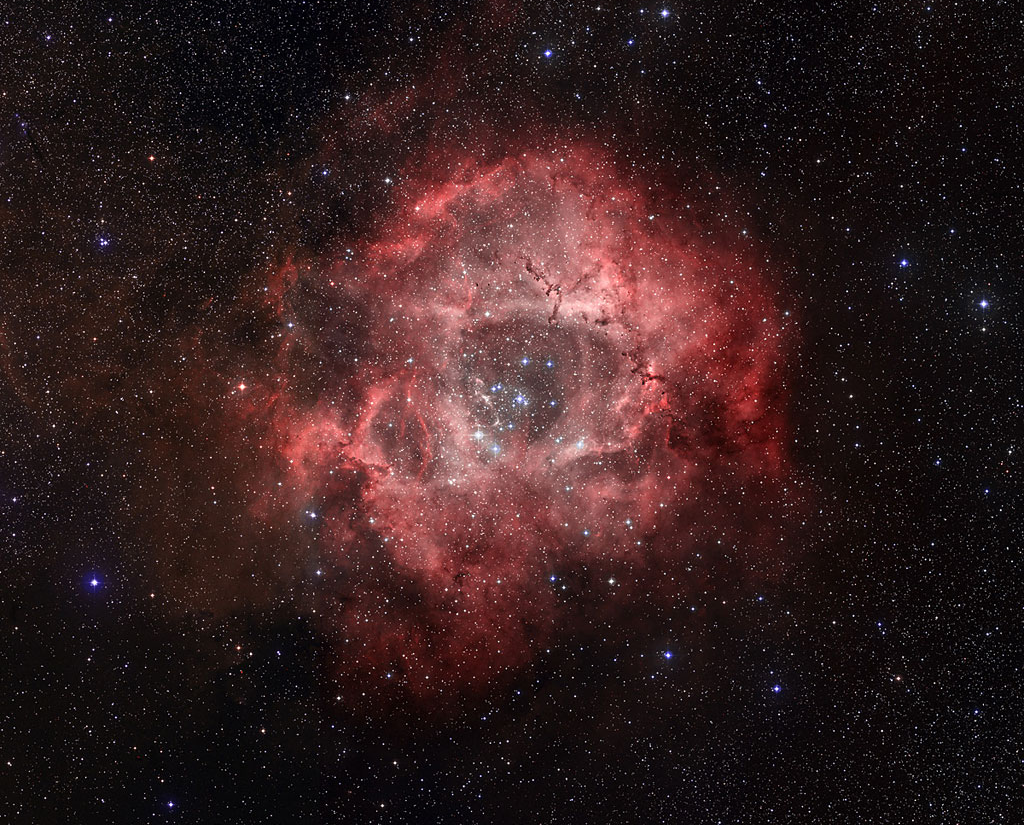 Rosette Nebula