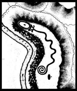 Squier and Davis’s illustration of Serpent Mound, from their book Ancient Monuments of the Mississippi Valley: Comprising the Results of Extensive Original Surveys and Explorations. Squier and Davis wrote regarding the Serpent that “No plan or description has hitherto been published; nor does the fact of its existence appear to have been known beyond the secluded vicinity in which it occurs.” 