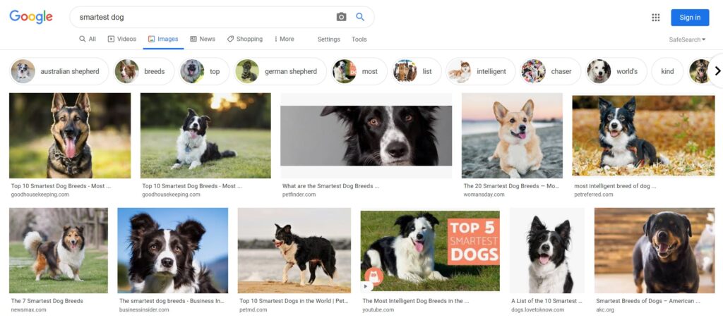 A Google image search on “smart dog” yields these pictures. So are any of these dogs smart enough to talk with you?