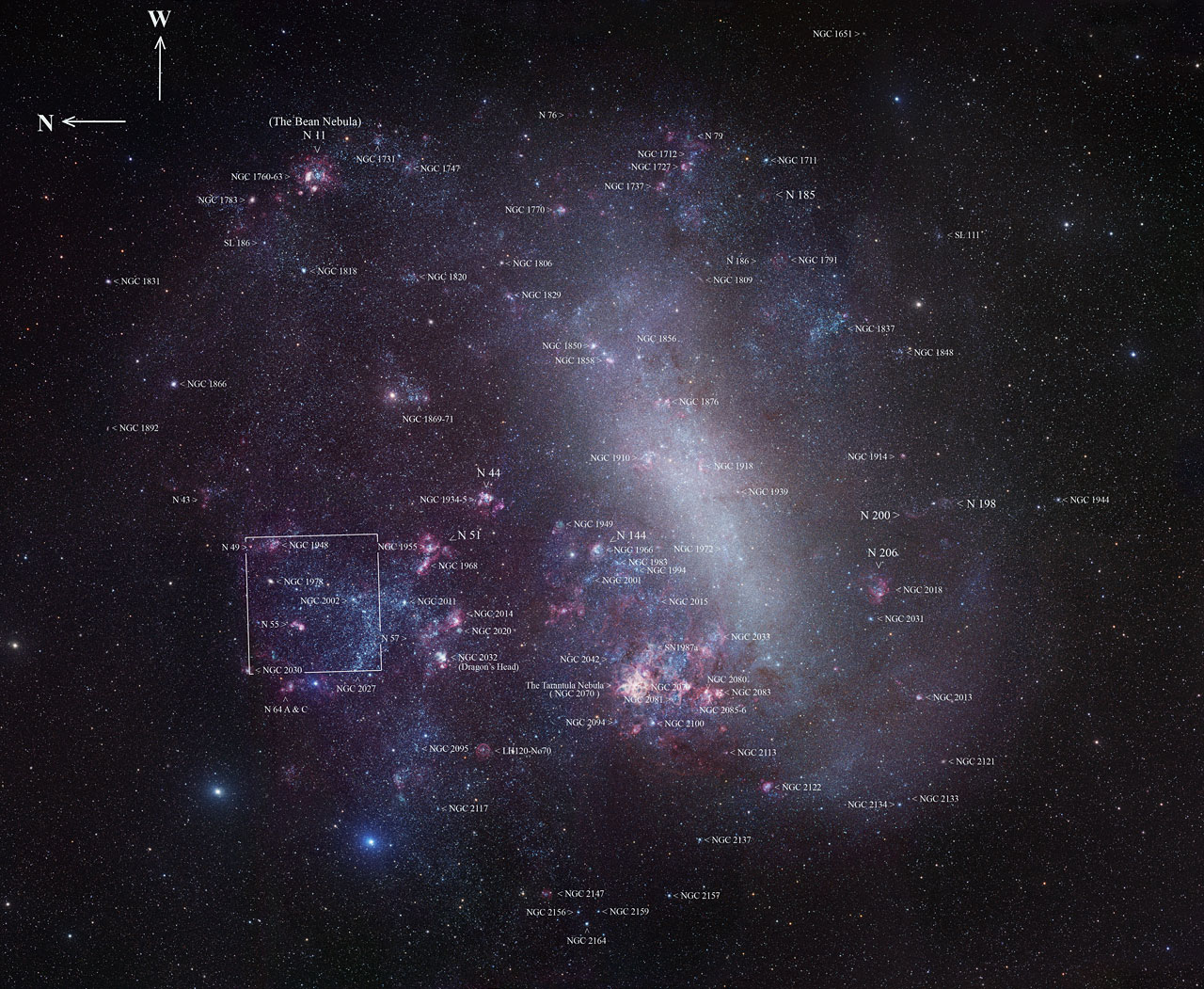 Large Magellanic Cloud