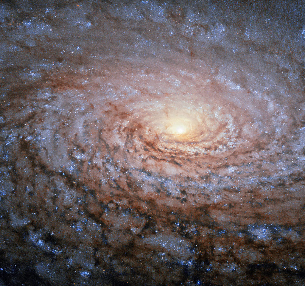 The arrangement of the spiral arms in the galaxy Messier 63, seen here in a new image from the NASA/ESA Hubble Space Telescope, recall the pattern at the centre of a sunflower. So the nickname for this cosmic object — the Sunflower Galaxy — is no coincidence. Discovered by Pierre Mechain in 1779, the galaxy later made it as the 63rd entry into fellow French astronomer Charles Messier’s famous catalogue, published in 1781. The two astronomers spotted the Sunflower Galaxy’s glow in the small, northern constellation Canes Venatici (the Hunting Dogs). We now know this galaxy is about 27 million light-years away and belongs to the M51 Group — a group of galaxies, named after its brightest member, Messier 51, another spiral-shaped galaxy dubbed the Whirlpool Galaxy. Galactic arms, sunflowers and whirlpools are only a few examples of nature’s apparent preference for spirals. For galaxies like Messier 63 the winding arms shine bright because of the presence of recently formed, blue–white giant stars, readily seen in this Hubble image.