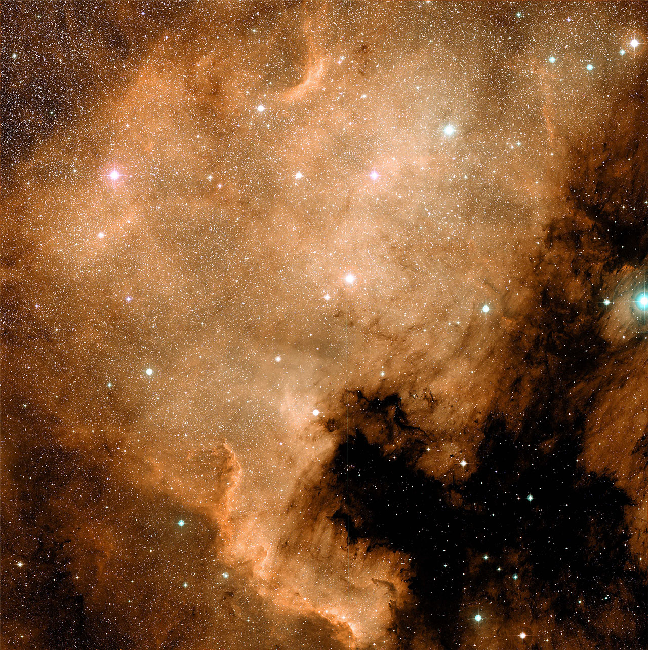 NGC 7000