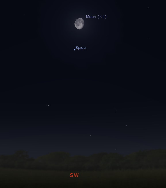 Southwestern predawn sky