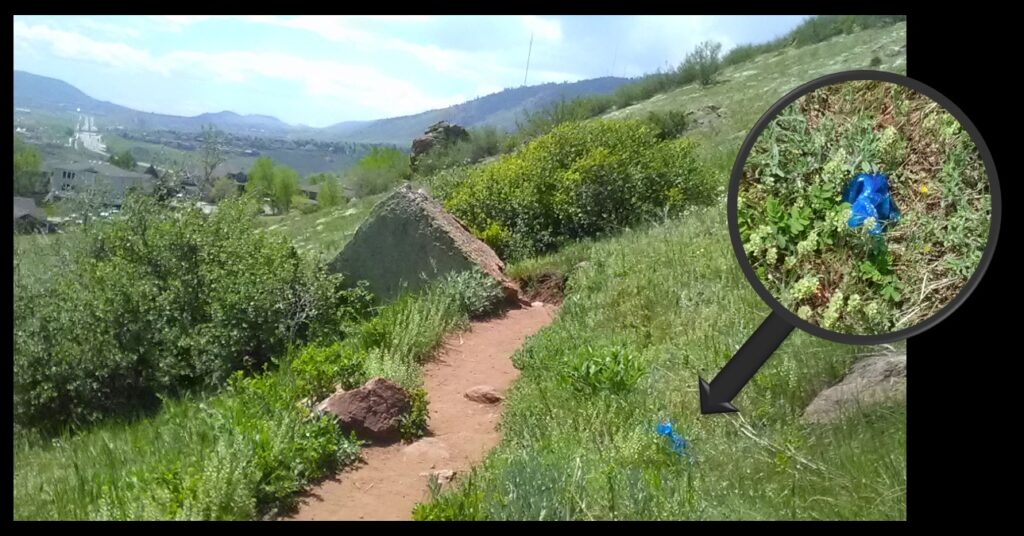 The bag on the Colorado mountain (arrowed, and inset).