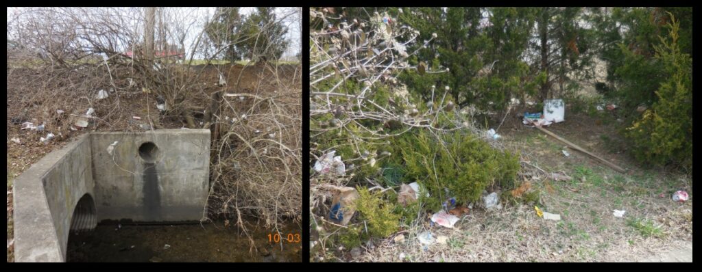 These two photos and the two below were taken on the location of the former, and once-famed, Bashford Manor horse farm. That was a very long time ago.