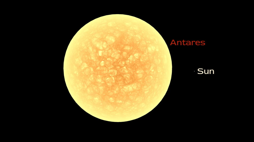 Comparison of Antares and the Sun