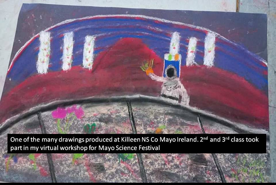 One of the many drawings created at Killeen NS Co Mayo Ireland. 2nd and 3rd class took part in my virtual workshop for Mayo Science Festival