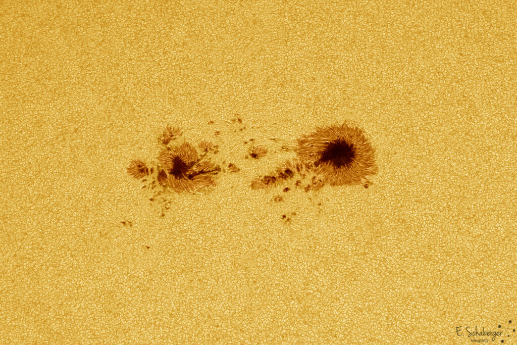 Sunspot