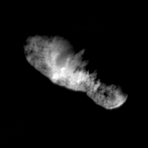 Comet 19P/Borrelly Nucleus