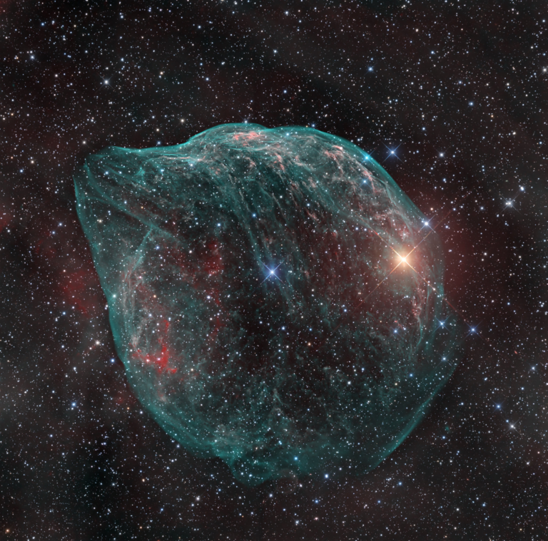 2024 VO Calendar - Cover - Dolphin Head Nebula - Warren Keller