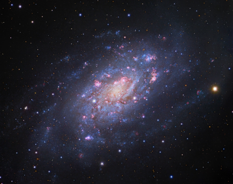 2024 VO Calendar - Jan - NGC 2403 - Robert Gendler