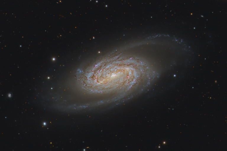 2024 VO Calendar - May - NGC 2903 - Bernhard Hubl