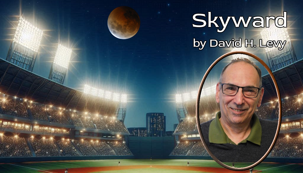 David Levy Skyward